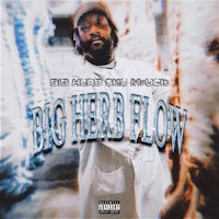 the cover of big herb flow