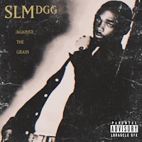 slmdogg - against the grain